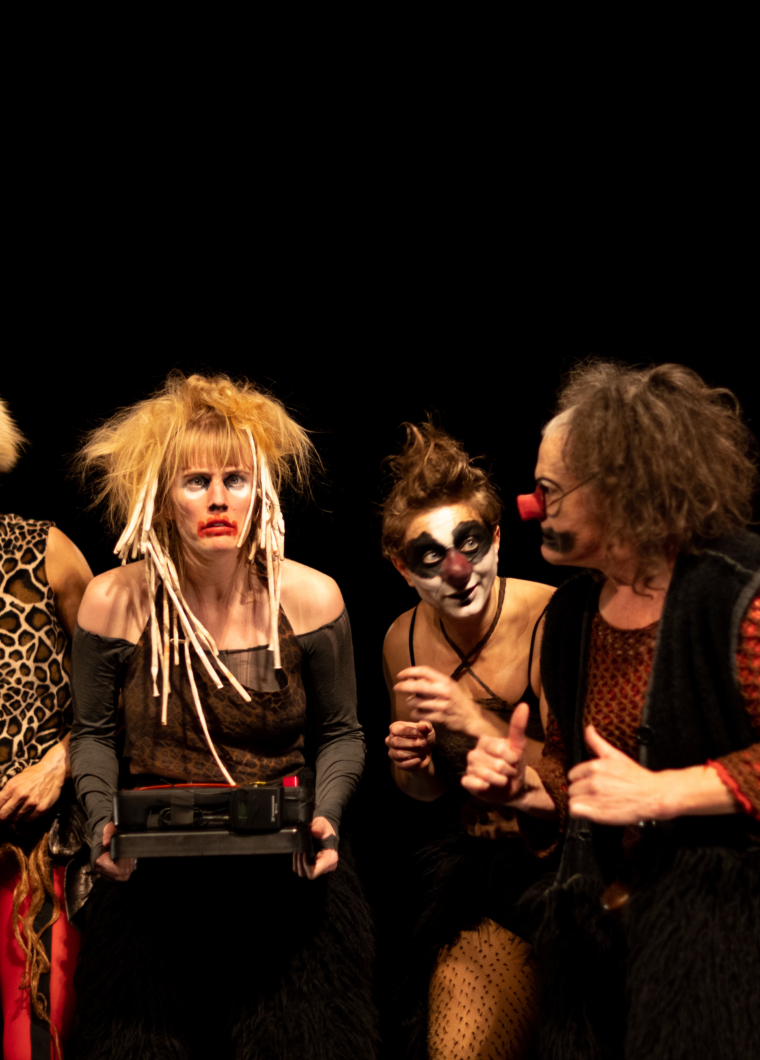 evenement homo-sapiens